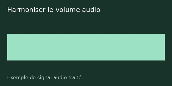 Exemple de sortie de l’outil Harmoniser le volume audio