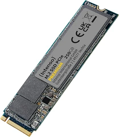 Intenso Disque SSD Interne 250 Go M.2 SSD PCIe Premium, jusqu'à 2100 Mbit/s, (PCI Express Gen.3x4 NVMe 1.3, Solid State Drive)