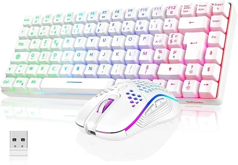 RedThunder K84 Combo Clavier et Souris USB sans Fil Gamer, AZERTY Français, Batterie Rechargeable RVB Rétroéclairée, Clavier TKL à 75% et Souris Optique Légère en Nid d'abeille 320